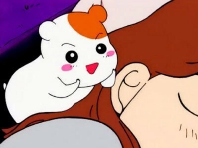 이미지 = 네이버 블로그 캡처(https://blog.naver.com/sec0107/220454396332)