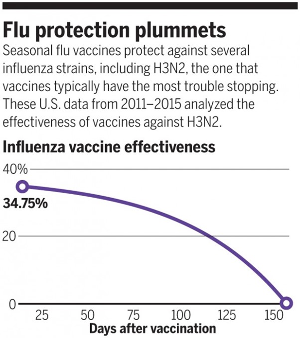 독감 백신도 6개월 지나면 거의 효과 없음은 매한가지