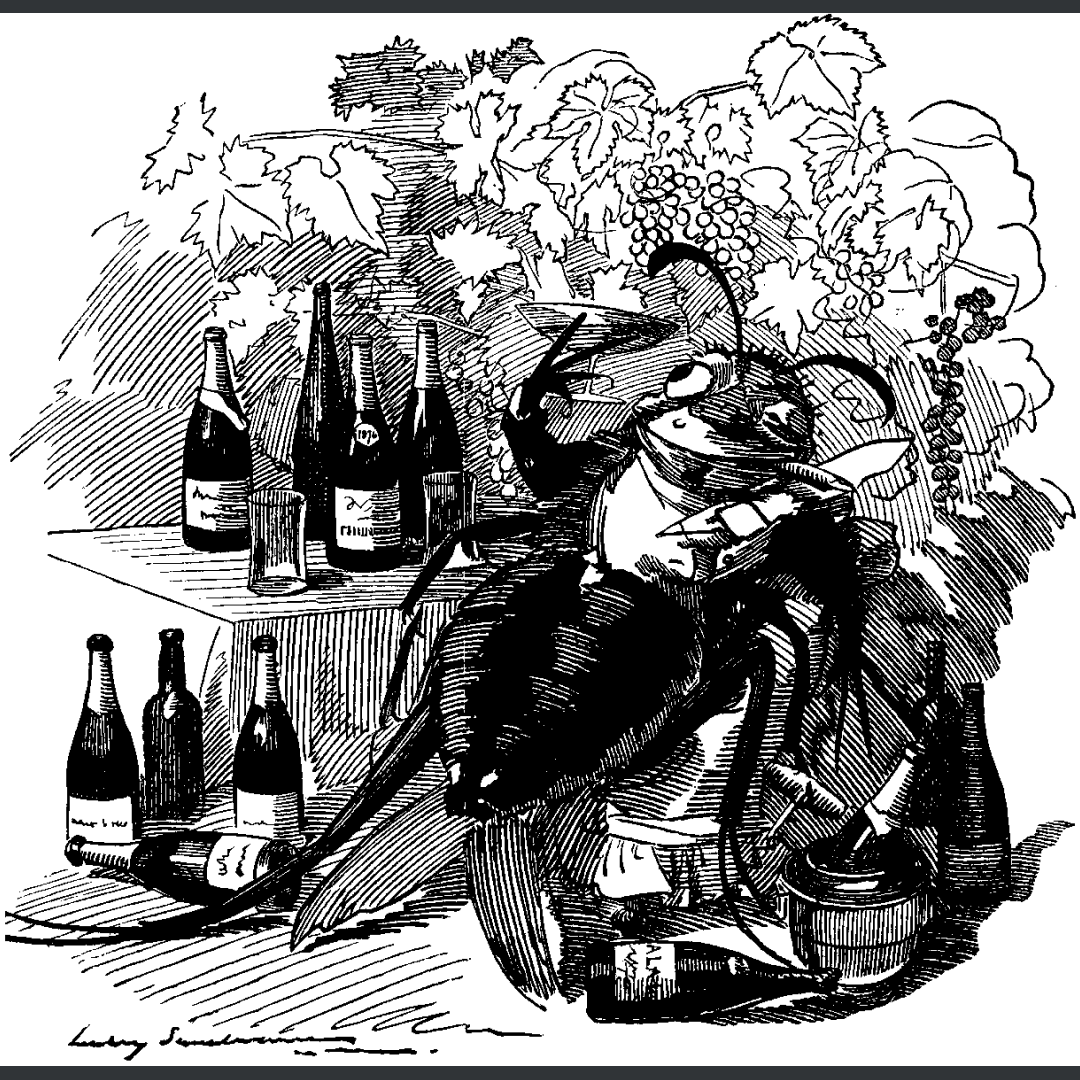 Figure.11 필록세라의 피해를 풍자한 그림