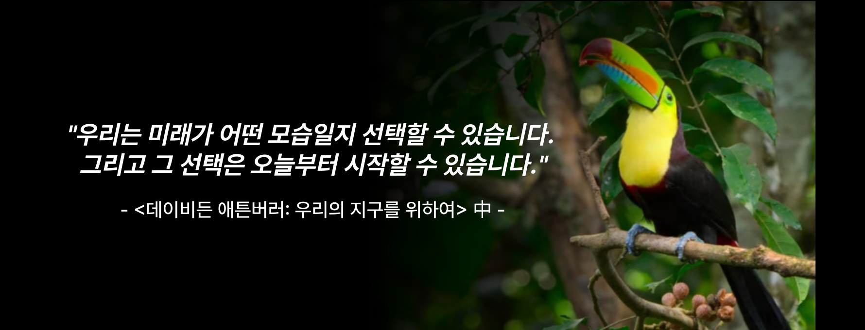 ⓒ 리드나잇 자체제작