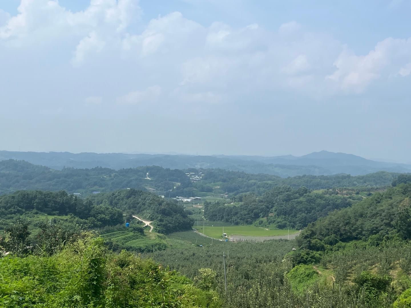 첫번째로 찾아간 매물. 산 꼭대기 어느 땅에서 바라본 풍경. 