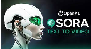 출처 : 서울STV뉴스