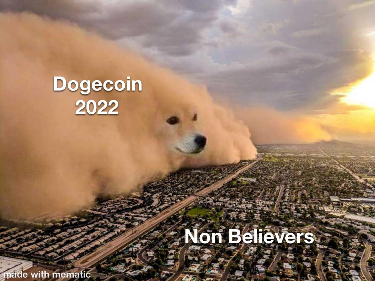 출처: https://www.reddit.com/r/dogecoin/comments/l9u68h/the_reign_of_doge_is_coming/