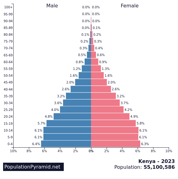 케냐의 인구 피라미드