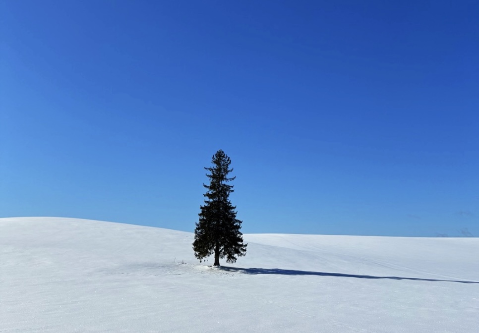 직접 찍었는데 꽤 마음에 듭니다.