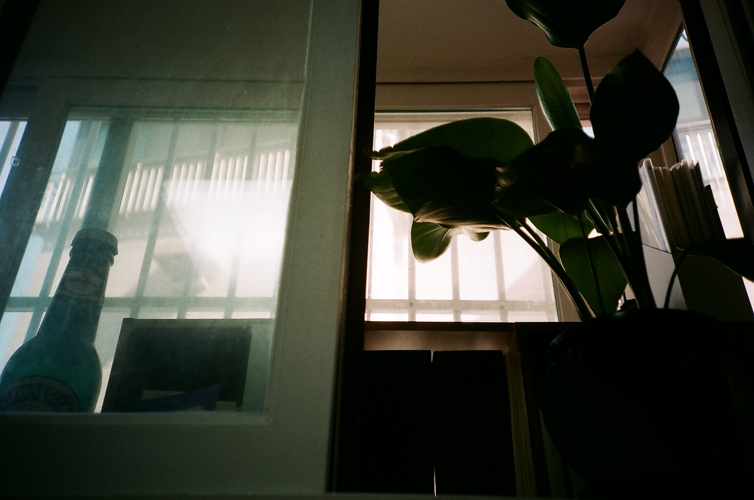 나랑 비슷한 나이의 빌라에 산다는 것의 썸네일 이미지