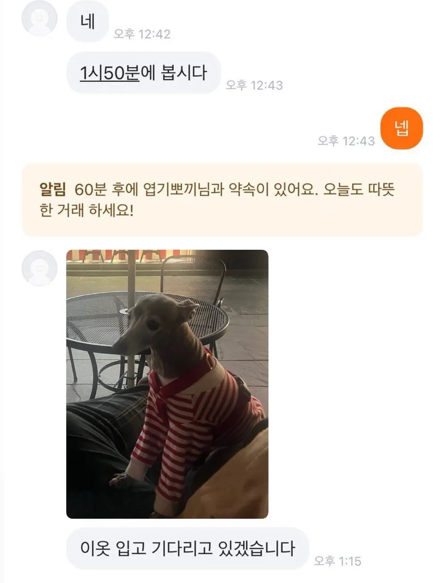 이미지 = X 캡처 (https://x.com/gyuna_83o/status/1929176929791267245)