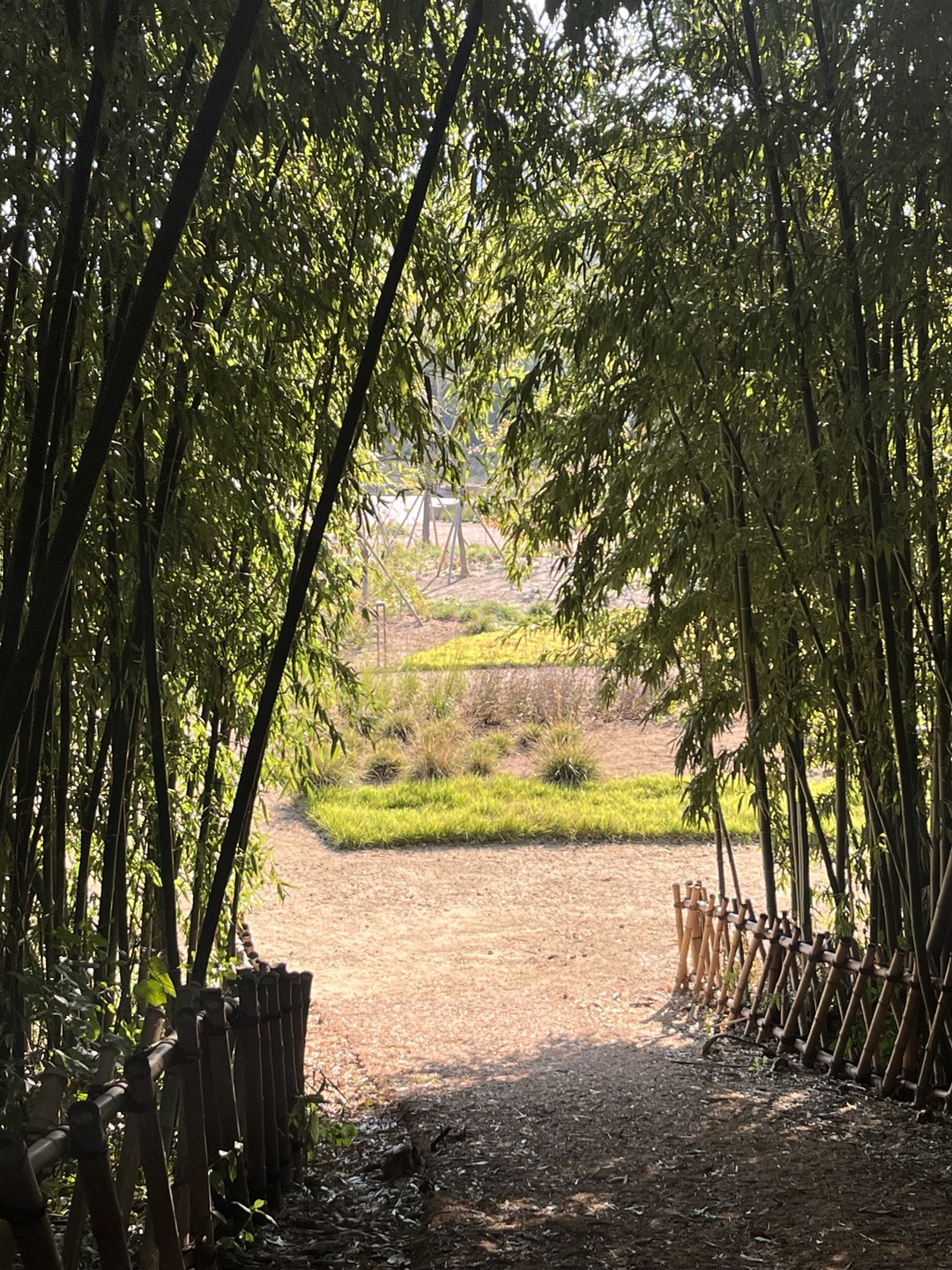 십리나 이어지는 대숲은 공원의 안쪽 공간과 공원 밖 태화강변을 잘 이어준다.