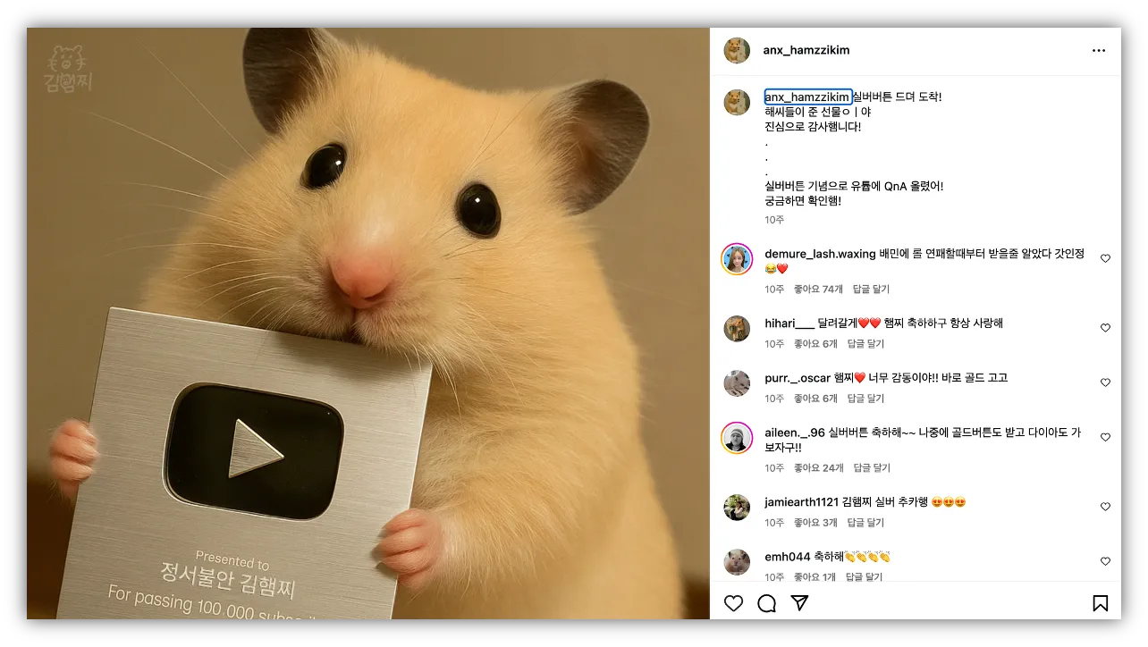 출처 : 김햄찌 인스타그램