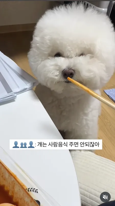 이미지 = 인스타그램 캡처 (https://www.instagram.com/reel/DN36OQtE0Ab/?utm_source=ig_web_copy_link&igsh=MzRlODBiNWFlZA==)