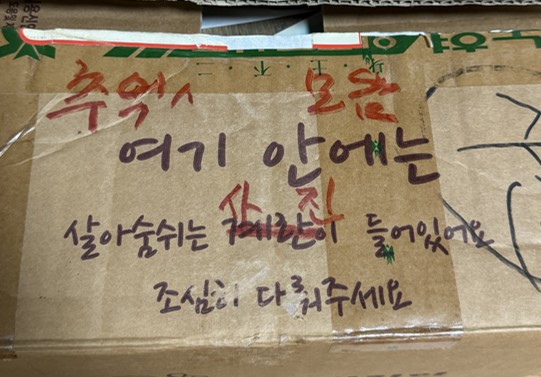 살아숨쉬는 계란 아닌 사진