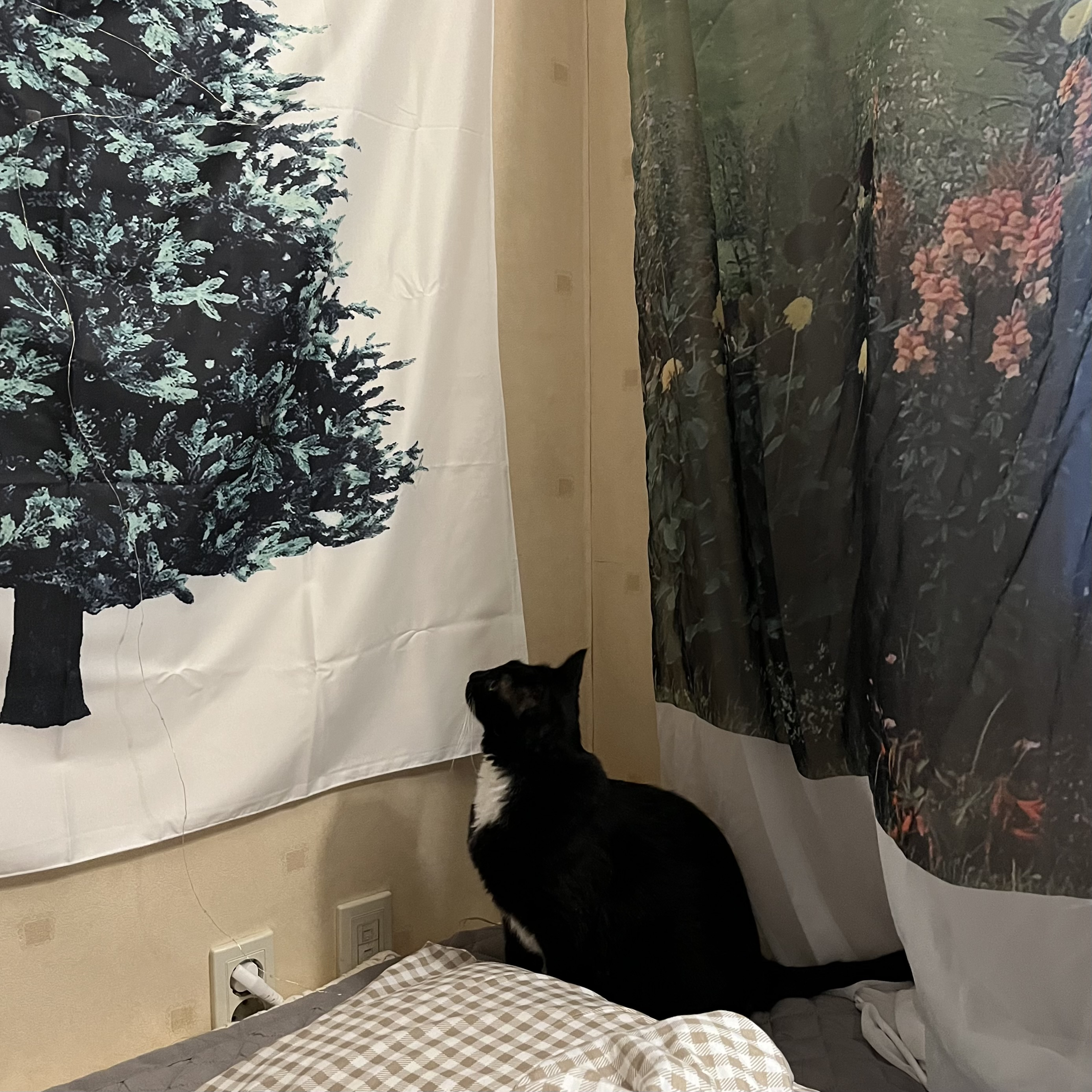 주말엔 늘어지게 잘거야