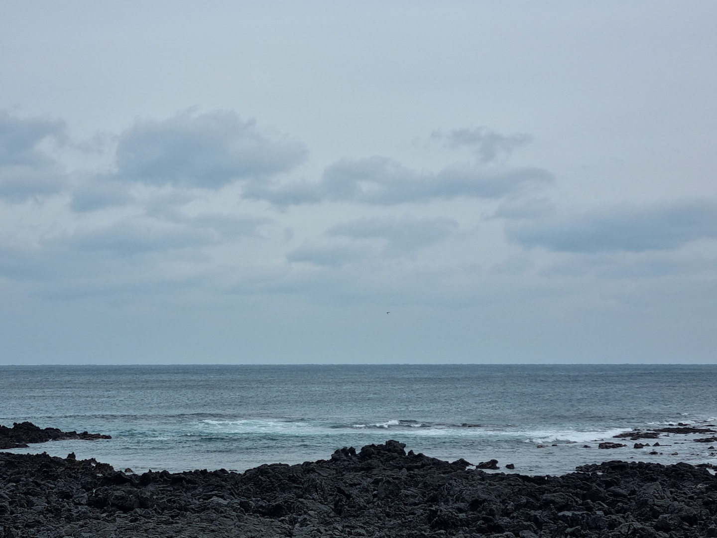 그 작가는 삼달 앞바다를 보며 어떤 생각을 했을까?