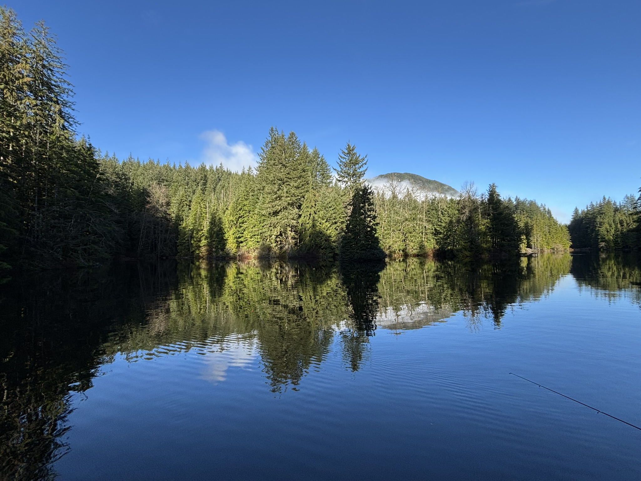 안녕 2024, 반갑다 2025의 썸네일 이미지