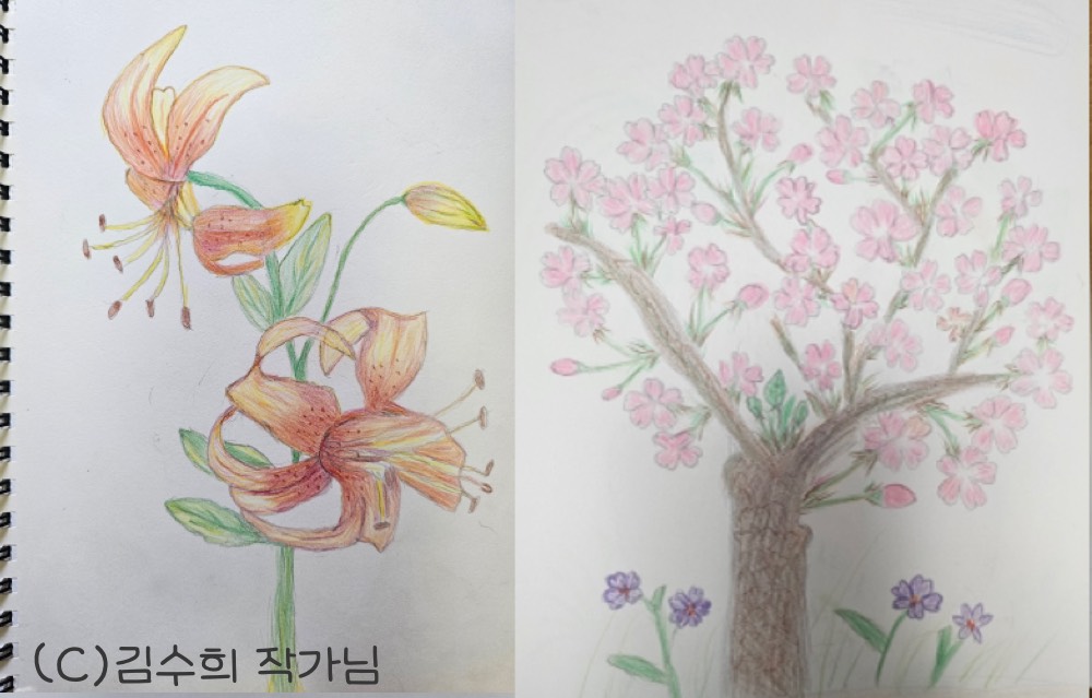 꽃을 좋아하는 할머니의 그림