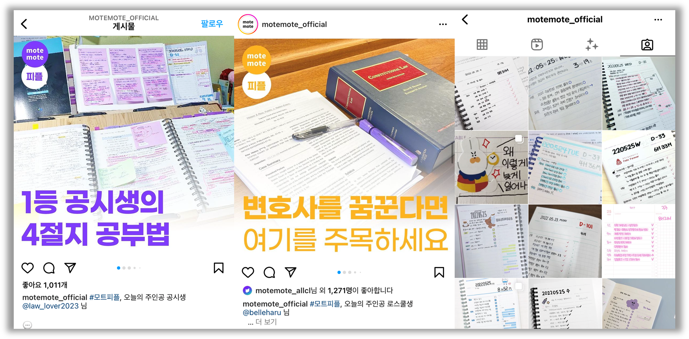 출처 : 모트모트 공식 인스타 계정
