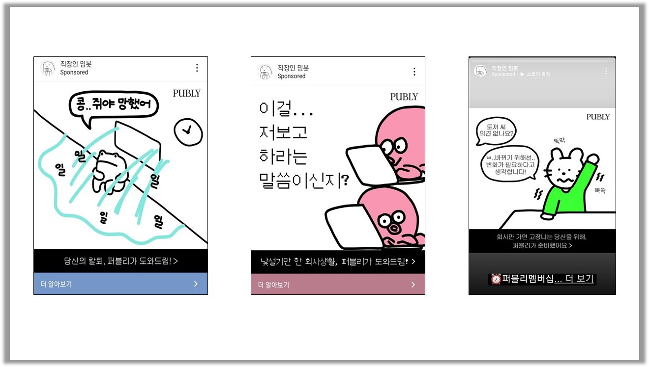 퍼블리 FB/IG 광고