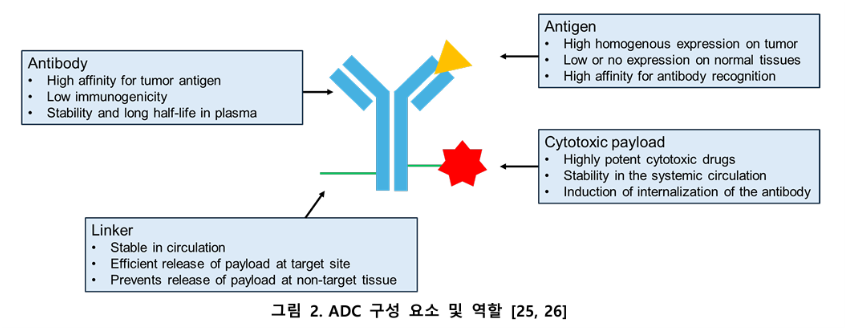 출처 : 윤한울, 정희진(2024). Antibody-drug conjugates (ADC) 항암치료제 최신 동향. BRIC View 2024-T06. Available from https://www.ibric.org/bric/trend/bio-report.do?mode=view&articleNo=9895017 (Apr 19, 2024)