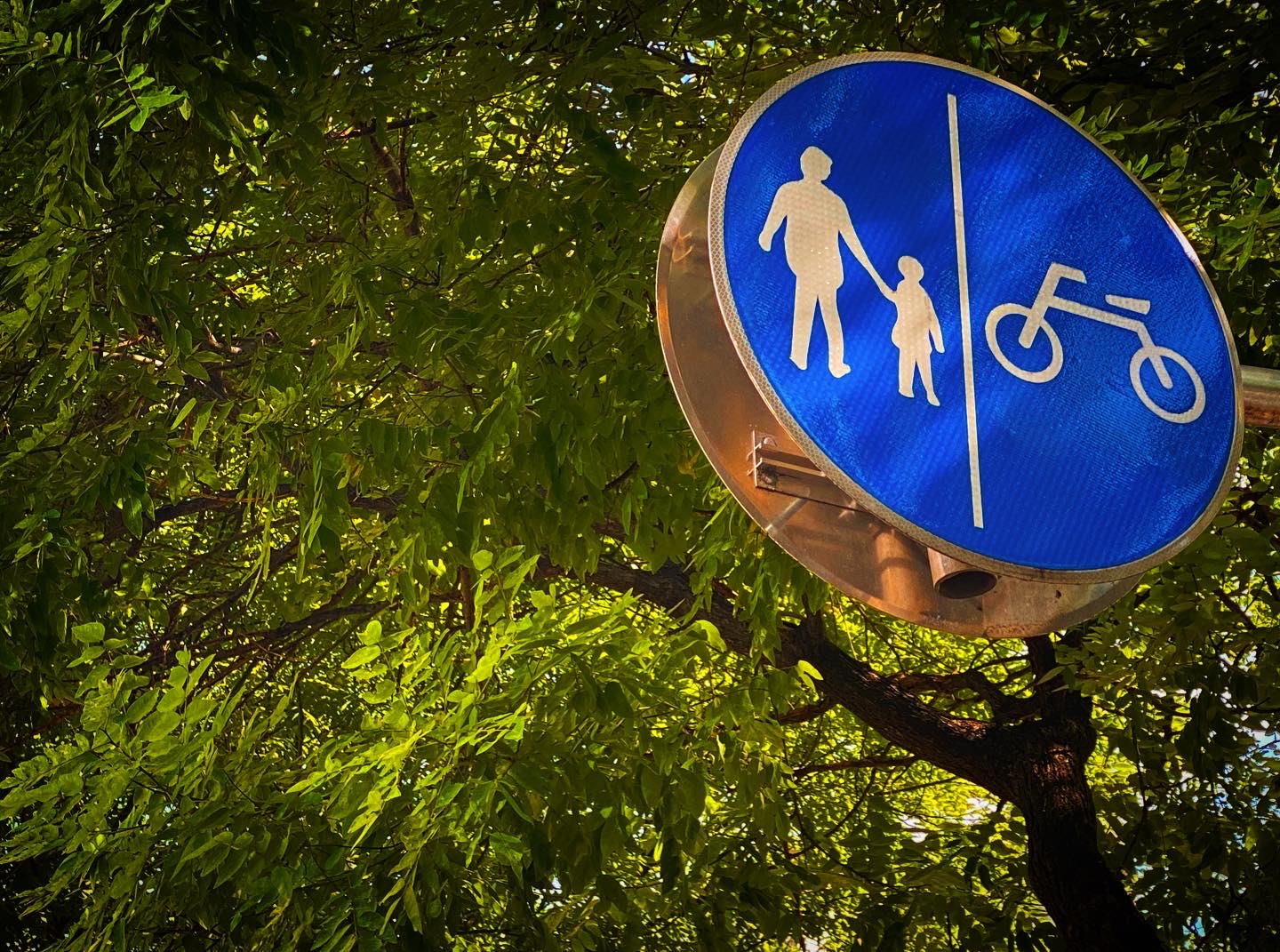 이 초록도 좋고 저 초록도 좋아요