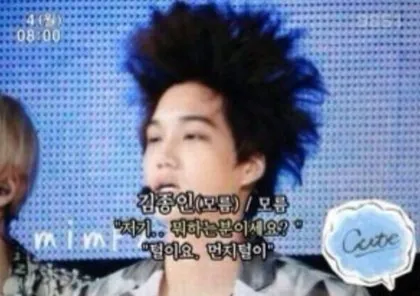 이미지 = 네이버 블로그 캡처 (https://blog.naver.com/onlyexojee/220078650861)