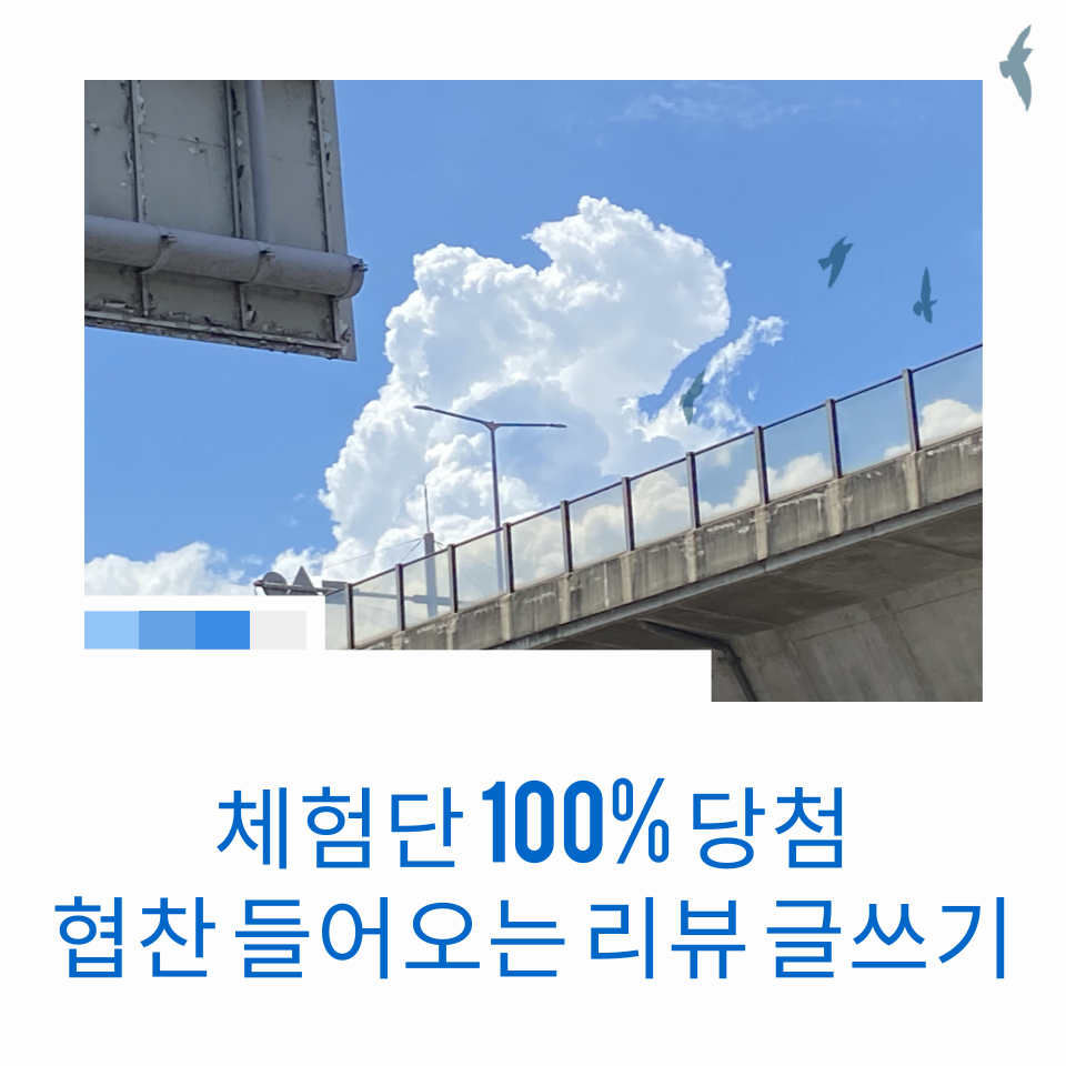 블로그체험단 선정 잘되는 당첨확률높이는법 의 썸네일 이미지