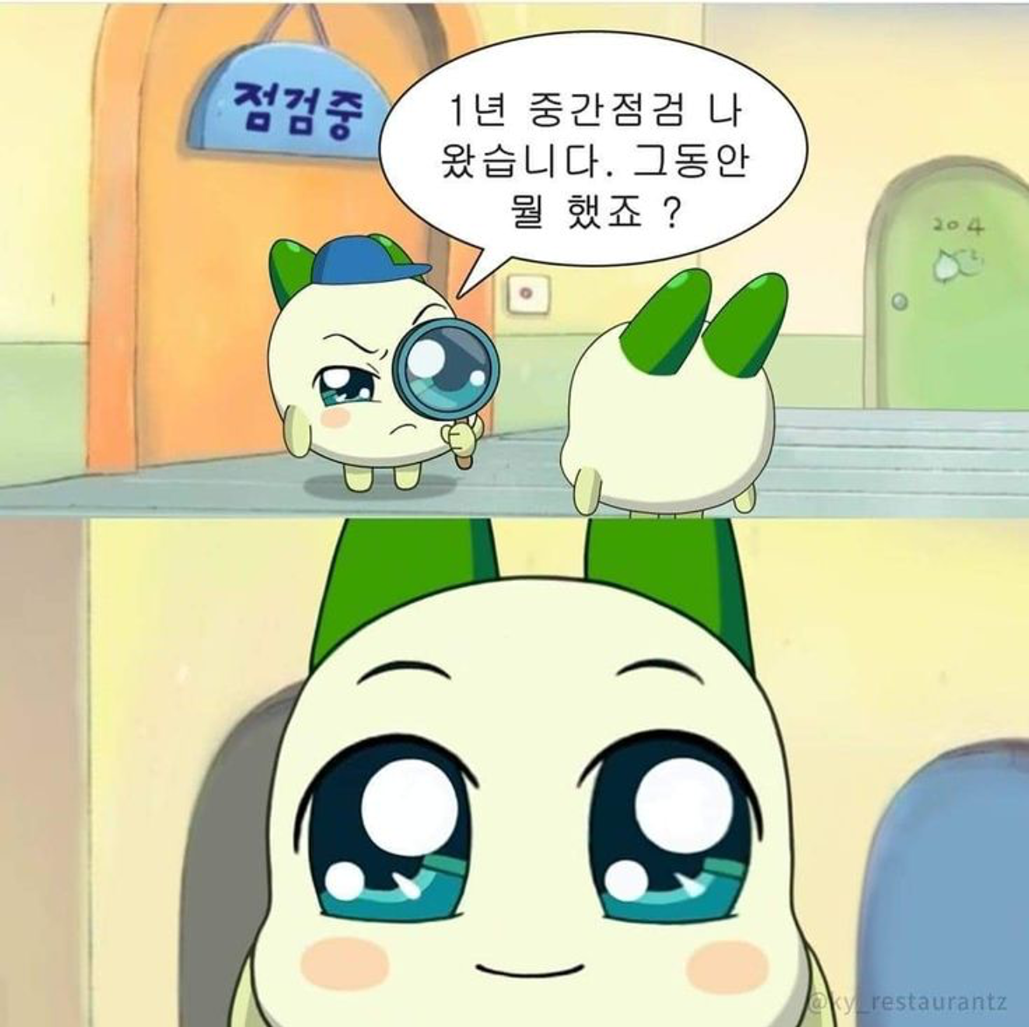 이미지 = X 캡쳐(https://pin.it/1Q1Jj1flL)