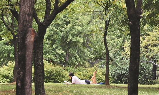 [출처: FREEPIK] 자연에 누워 책을 읽는 사람.