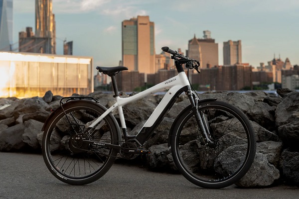 프라이어리티 바이시클 스카이라인 전기 자전거 [사진: 프라이어리티 바이시클]