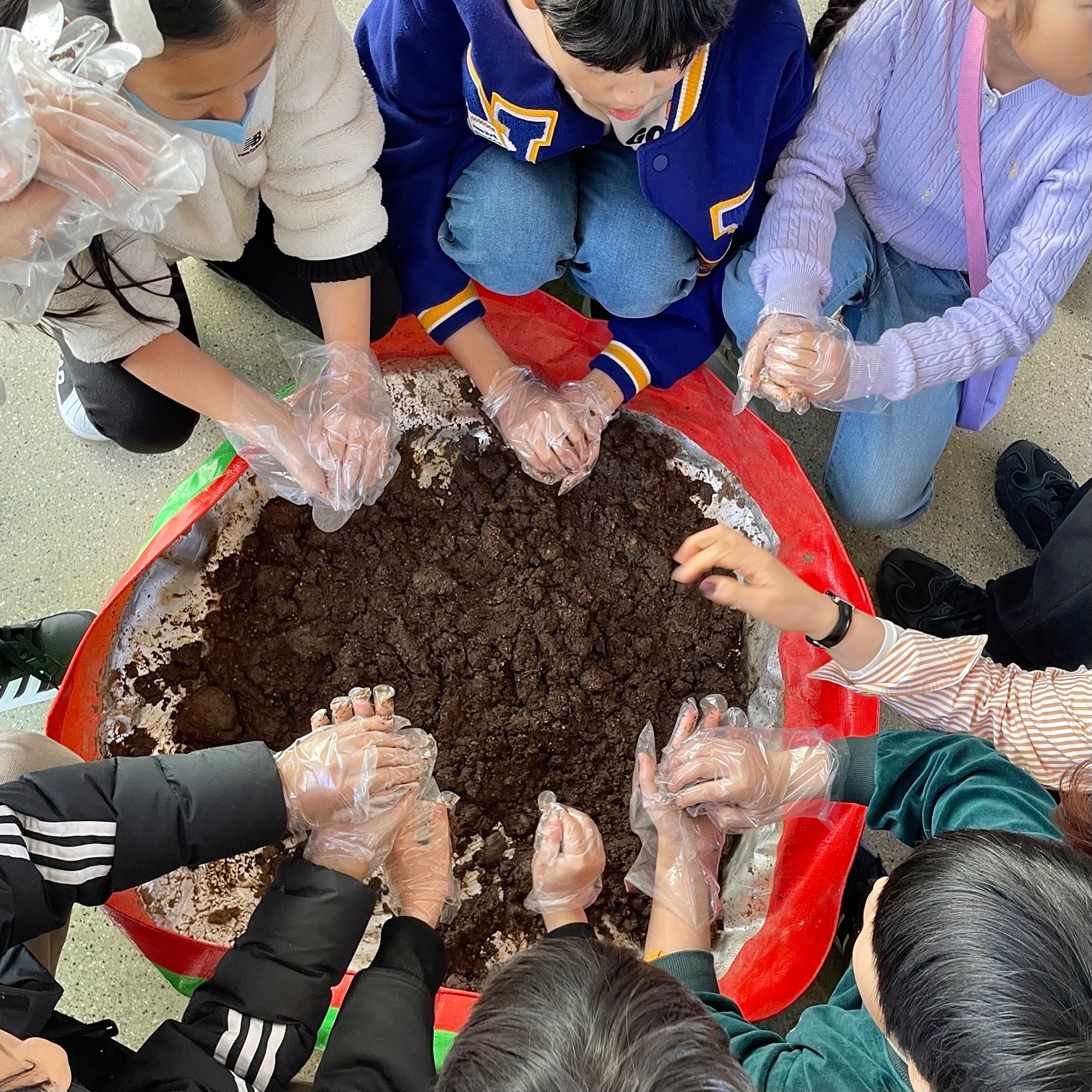 씨앗 폭탄을 빚는 포항송도초등학교 어린이들