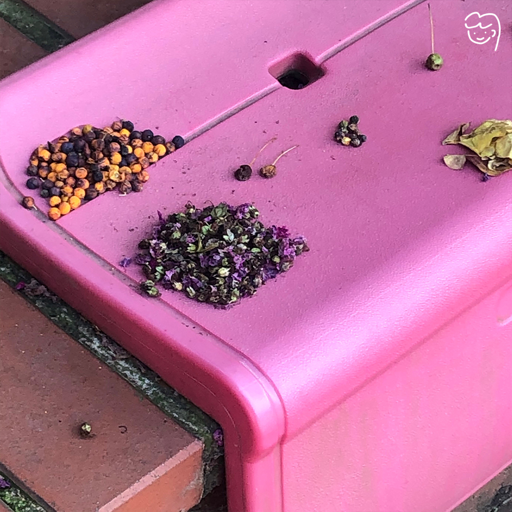 어느 여름날 벤치 위 누군가의 소꿉 풍경