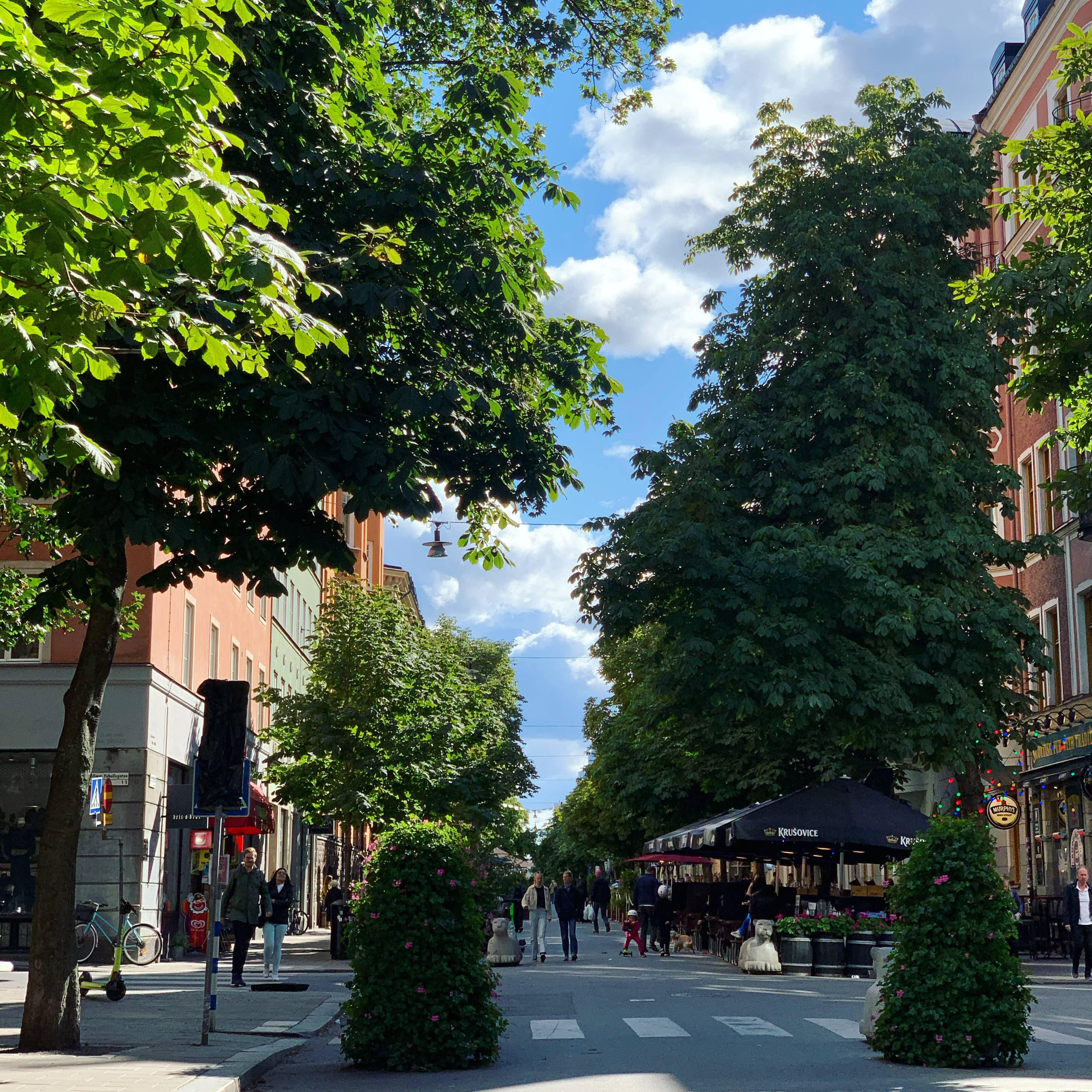 양해를 구하며 보내는 스톡홀름의 주말 한 컷. 이 곳의 날씨는 마치 서울의 10월 말 같아요..