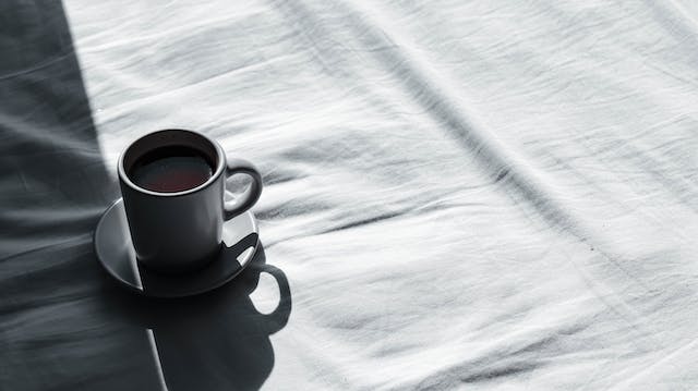 전문가의 생각 회로, 카테고리를 엿보기 위해선의 썸네일 이미지