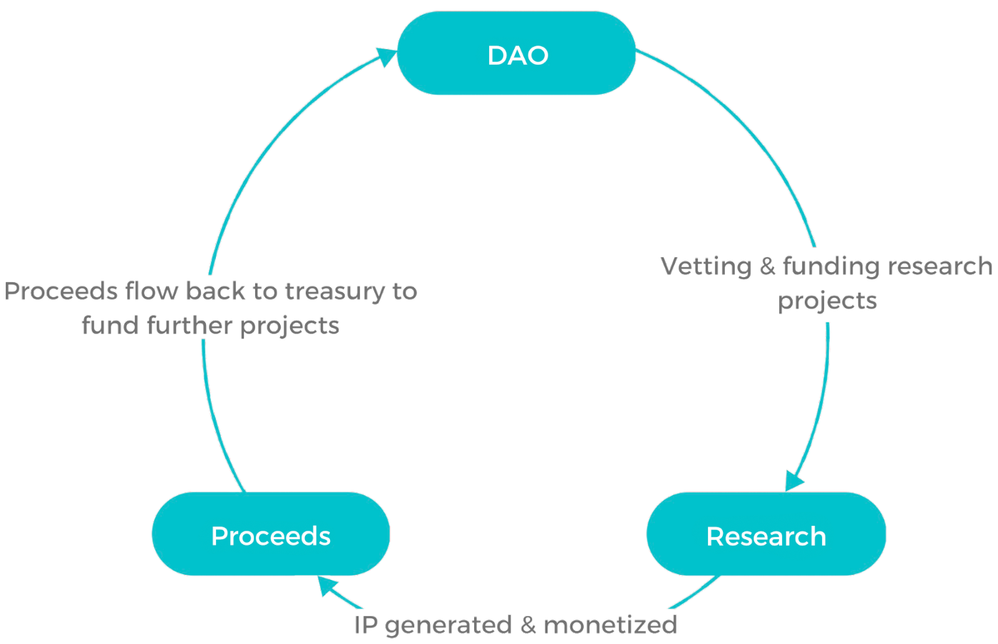 The Emergence of Biotech DAOs