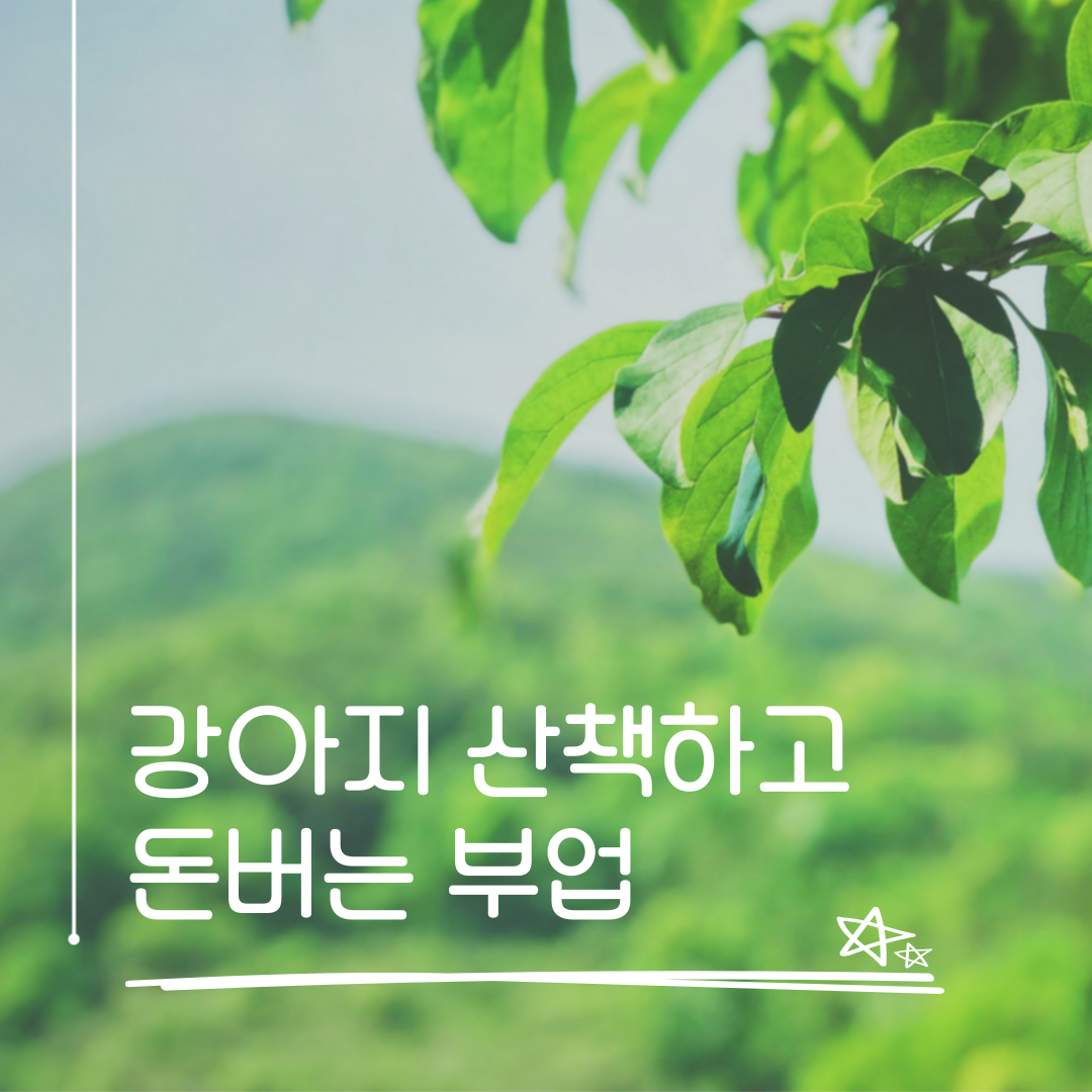 직장인부업 강아지산책 돈벌기의 썸네일 이미지