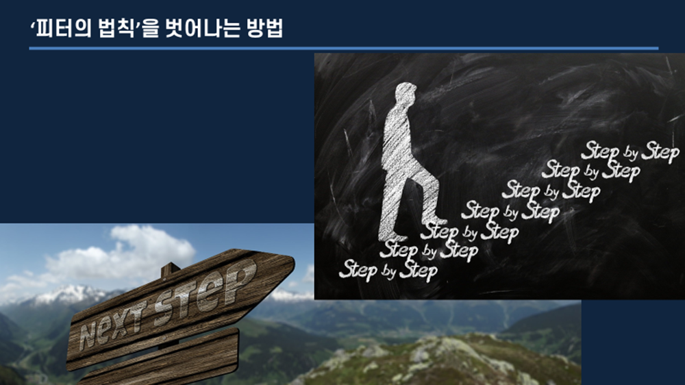 피터의 법칙 _ 모든 조직에서 구성원들은 무능력이 드러날 때까지 승진한다. 즉 성장의 멈춤 시기를 경험할 때 까지 승진한다는 의미입니다. 이유는 단 하나, 미래 과업을 잘 할 수 있는 사람이 아니라 과거 직책과 직무에서 일을 잘 한 사람을 승진시켰기 때문이죠. 그럼 피터의 법칙을 벗어나는 방법은 무엇일까요?&nbsp;