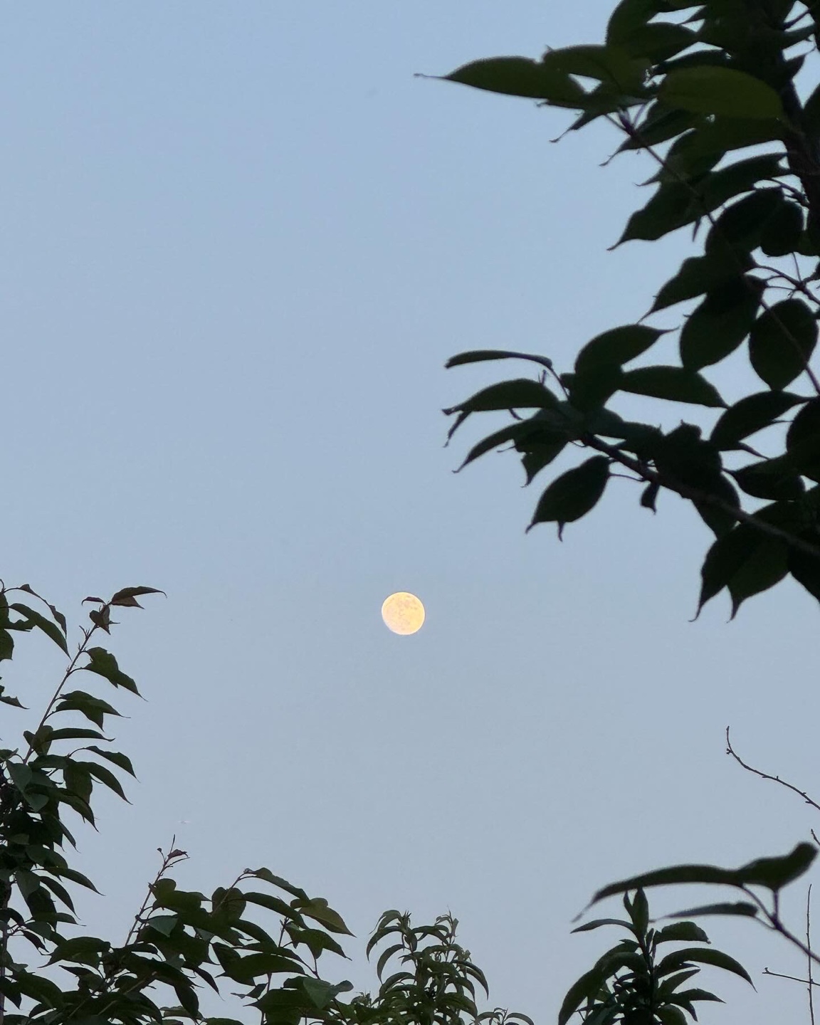 쫄쫄보의 유서의 썸네일 이미지