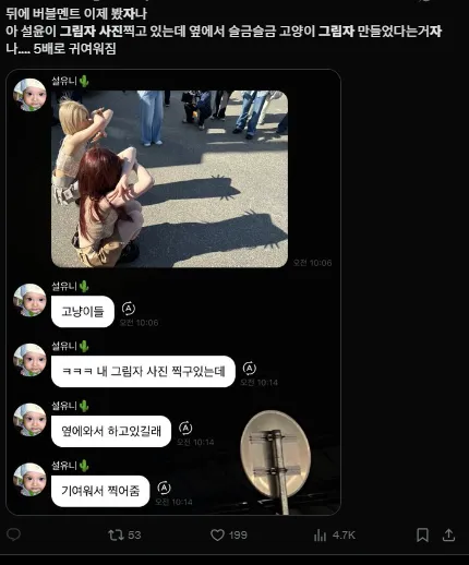 이미지 = X캡처 (https://x.com/lovesick_hw/status/1921418678924403129)