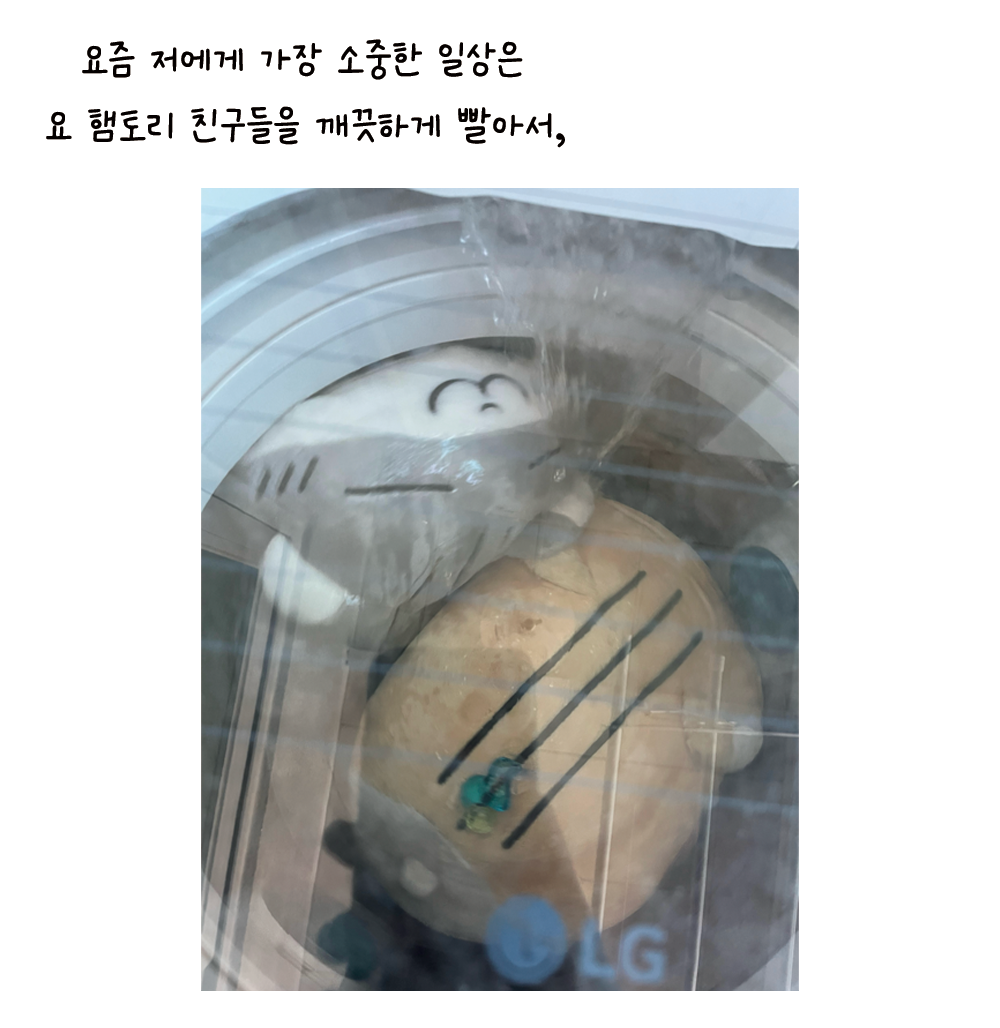 첨부 이미지
