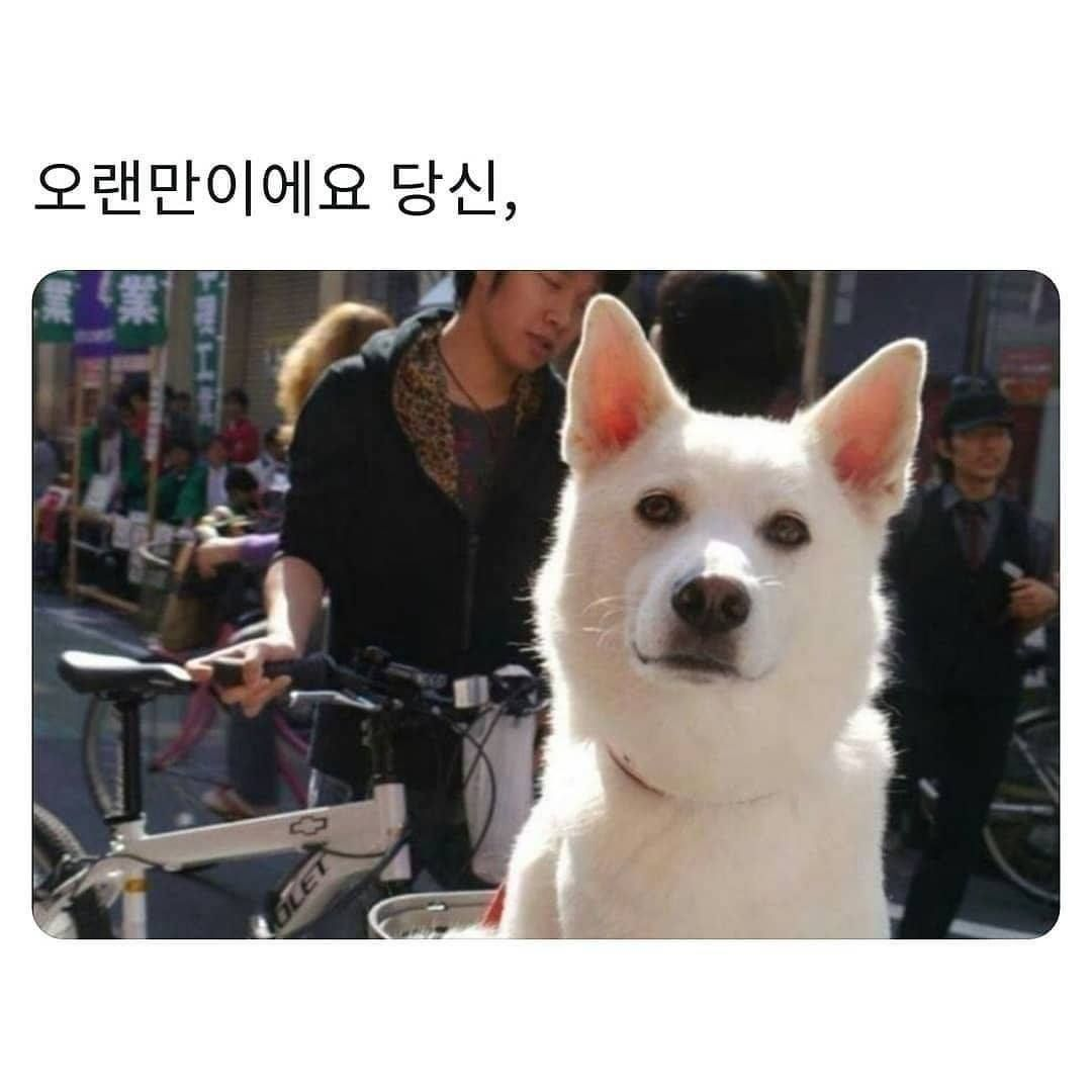 이미지 = 페이스북 캡쳐 (https://www.facebook.com/photo/?fbid=3595147897265309&set=pcb.3595148390598593)