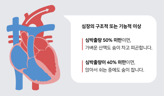 심혈관 질환의 잠재적 바이오마커, miRNAs의 썸네일 이미지