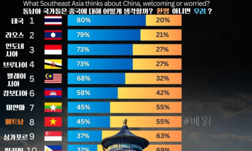 [인포그래픽] 2024년 동남아국가의 미국/중국에 대한 생각