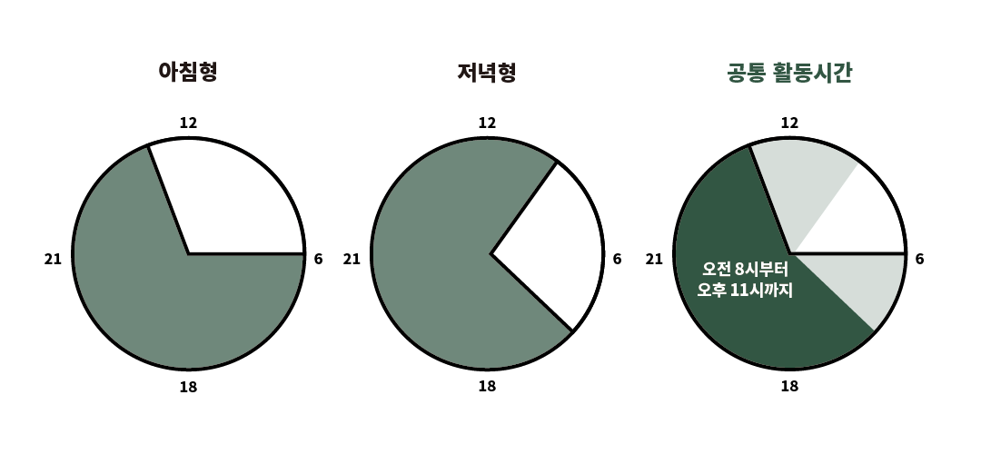 오전 8시부터 오후 11시를 모두 아우르는 생활계획표