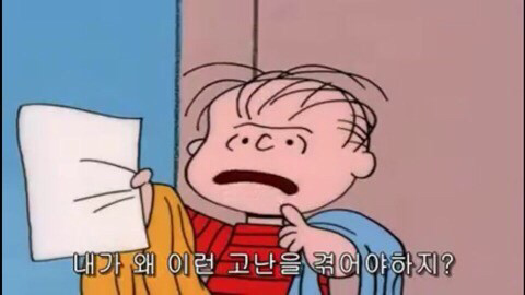 그러게 말입니다.