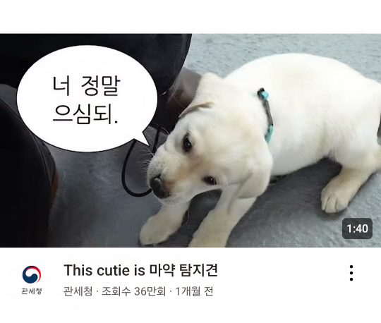 출처 : YouTube '관세청'