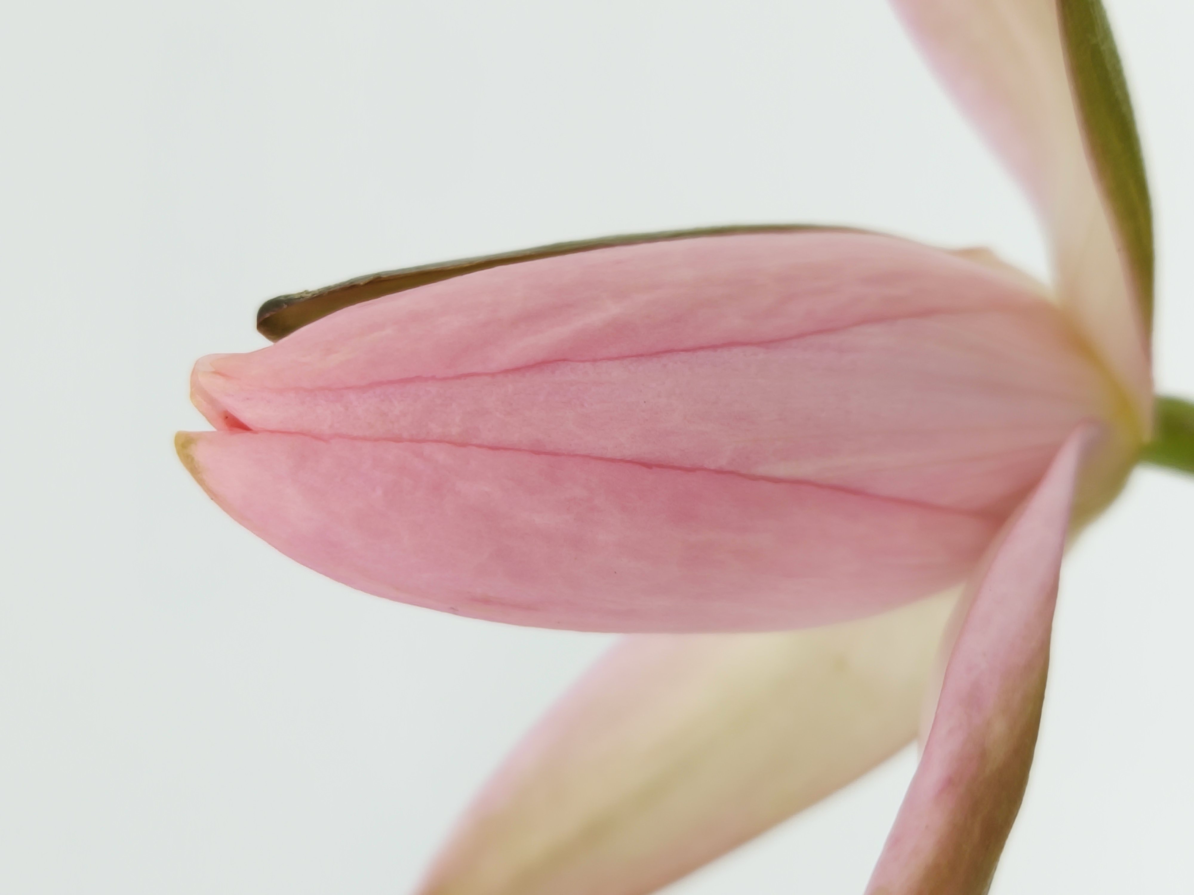 그 속이 몹시 궁금해지는 친구다