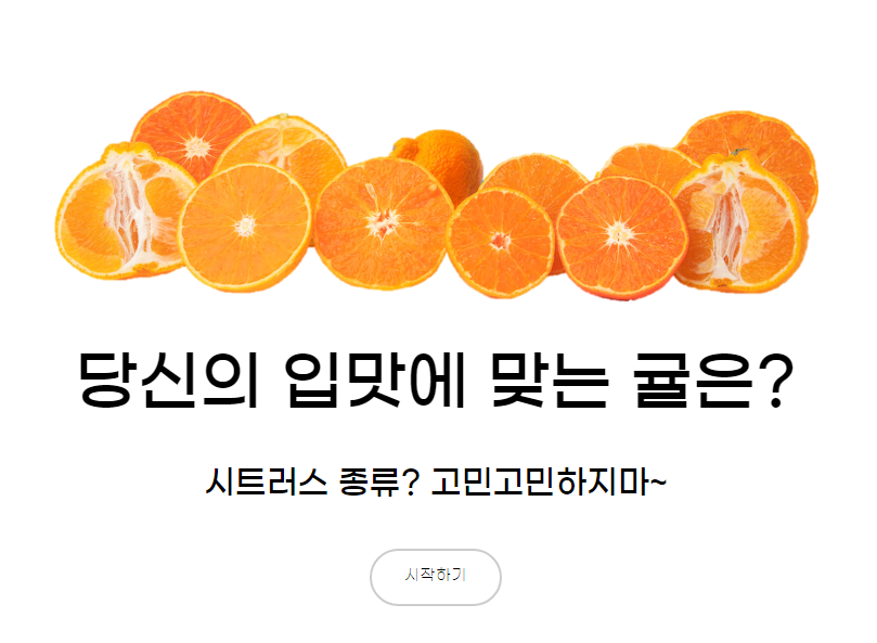 출처 : 귤메달 웹사이트