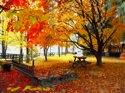 낙엽은 옆으로 휘날려야지 제 맛이죠