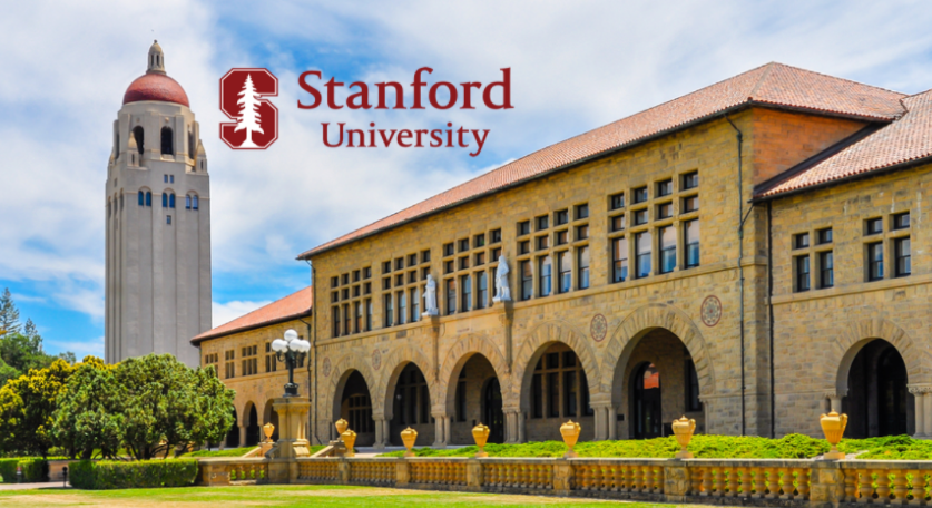 스탠포드에서 40년간 성공vs실패 사례 분석한 결과의 썸네일 이미지