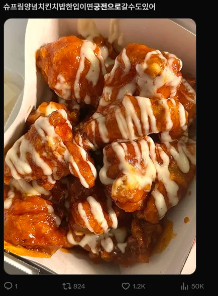 이미지 = X캡처 (https://x.com/hororoop/status/1930110224205263312)