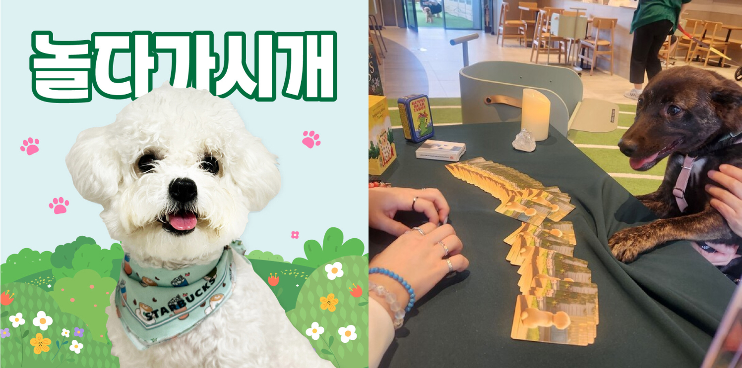 출처 : 스타벅스